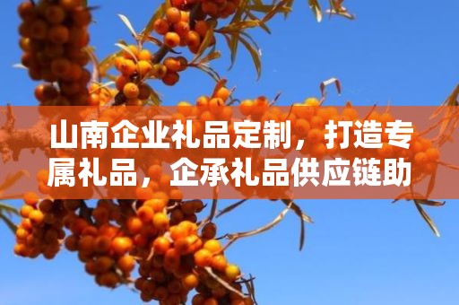 山南企业礼品定制，打造专属礼品，企承礼品供应链助力商务发展