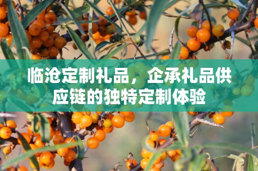 临沧定制礼品，企承礼品供应链的独特定制体验