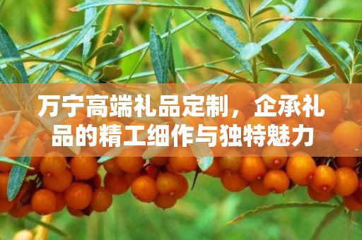 万宁高端礼品定制，企承礼品的精工细作与独特魅力