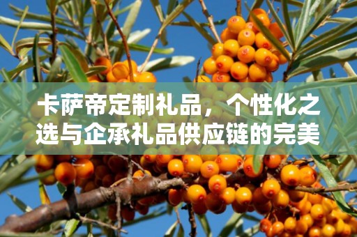 卡萨帝定制礼品，个性化之选与企承礼品供应链的完美结合